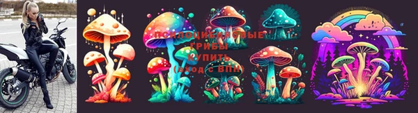 PSILOCYBIN Михайлов