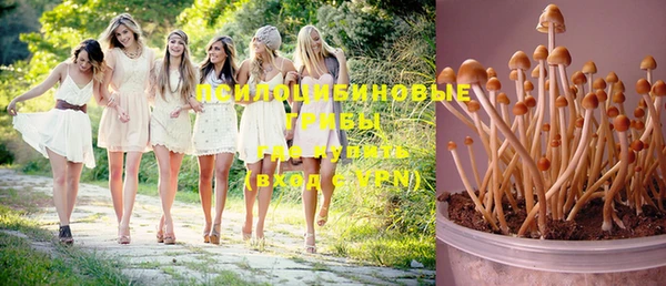 МДПВ Михайловка