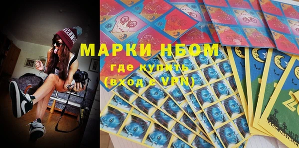 PSILOCYBIN Михайлов