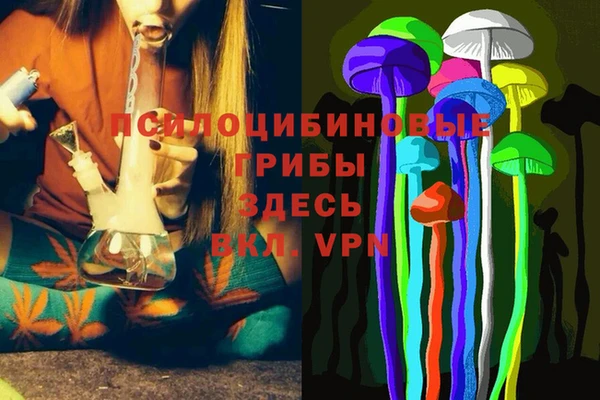 ПСИЛОЦИБИНОВЫЕ ГРИБЫ Белая Холуница