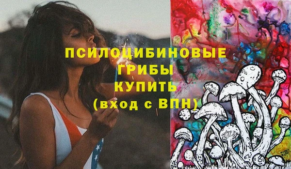 PSILOCYBIN Михайлов