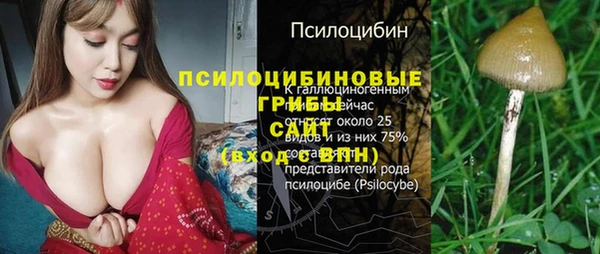 PSILOCYBIN Михайлов