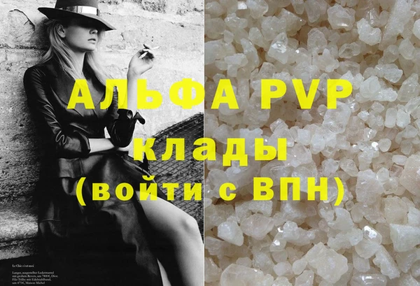 PSILOCYBIN Михайлов